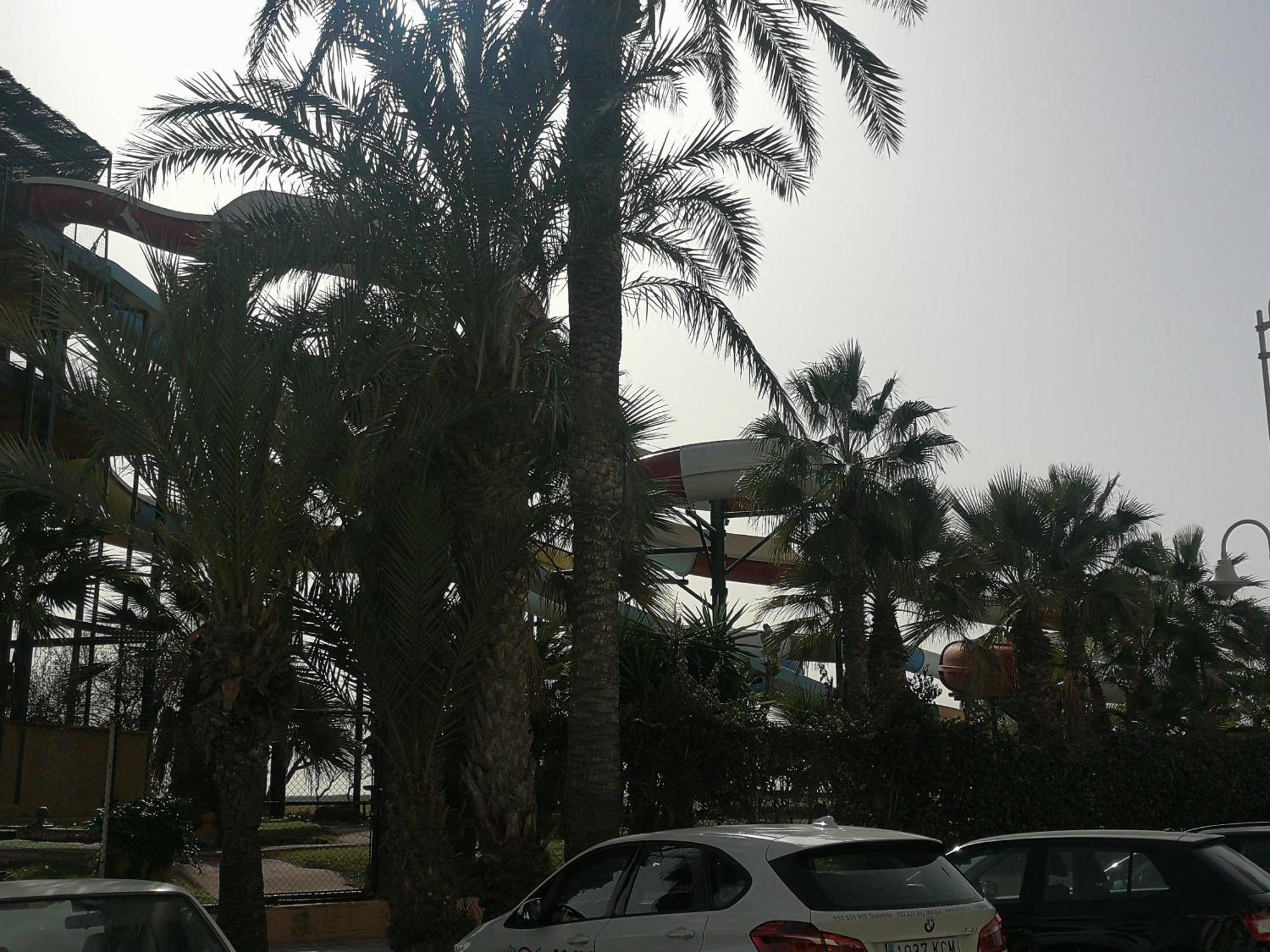 Apartamento Playa Velilla Park II Almunecar Exterior photo